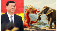 Dragon-Elephant Tango